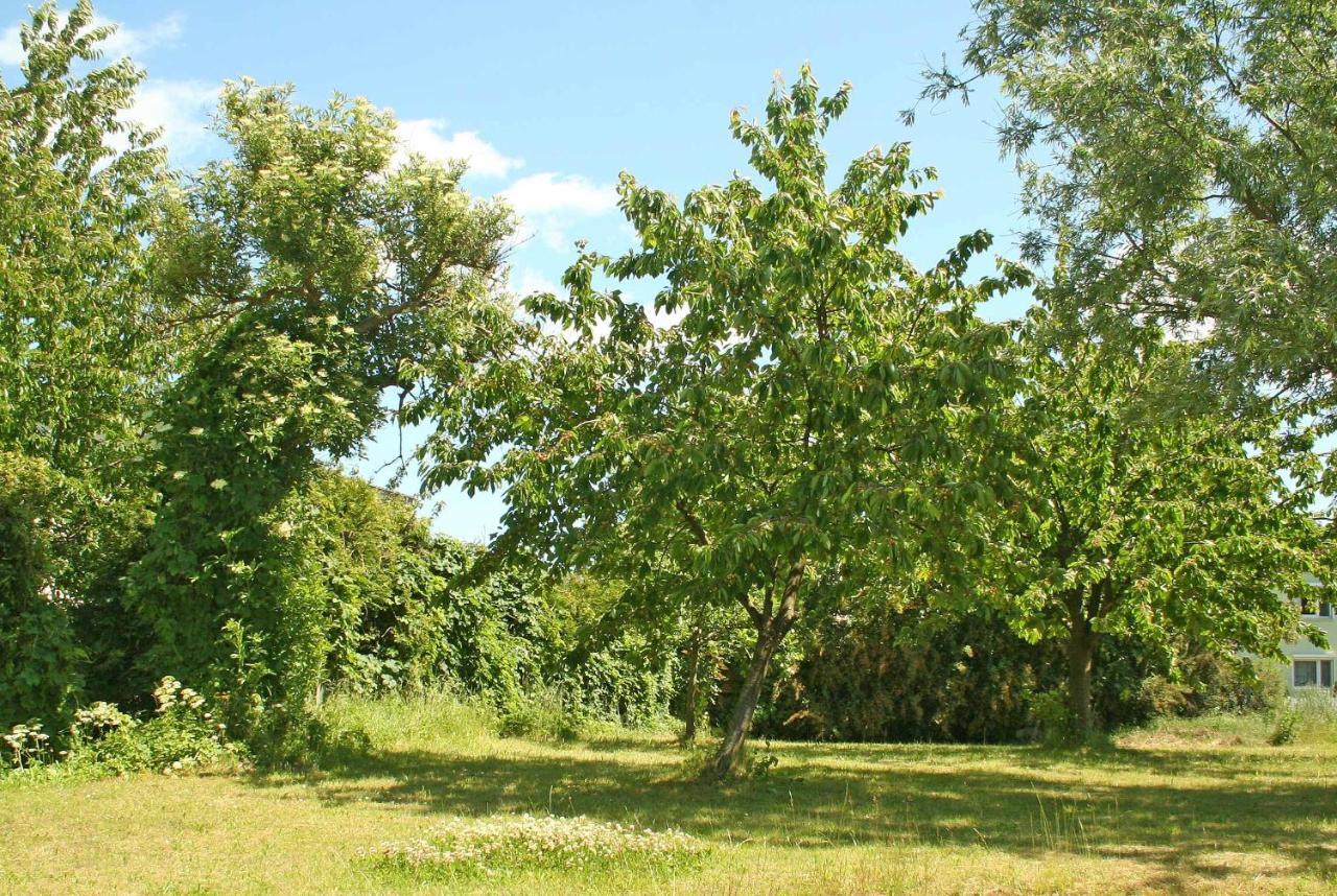 Ferienwohnungen Mirow See 10360 Εξωτερικό φωτογραφία